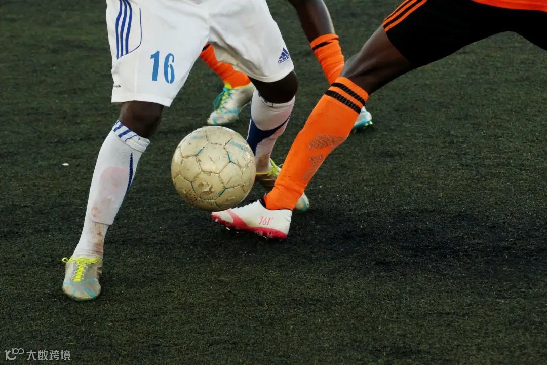 姜昆、樊登、周国平、窦文涛:文化人怎么聊足球?