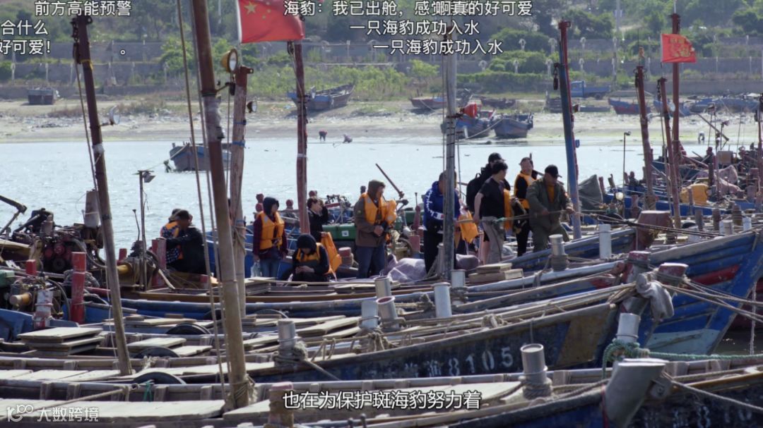 给海豹征名、派游戏角色做志愿者，B站公益怎么玩？