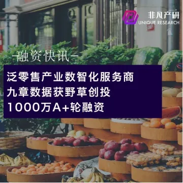 泛零售产业数智化服务商九章数据获野草创投1000万元A+轮融资