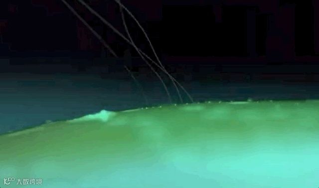 脑科学：开颅打洞接电线，你敢不敢？| 万字研究