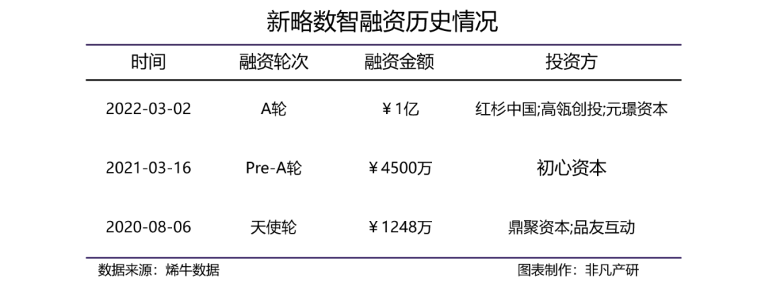 全域消费者数字化运营解决方案供应商新略数智获红杉中国、高瓴创投、元璟资本1亿元A轮融资