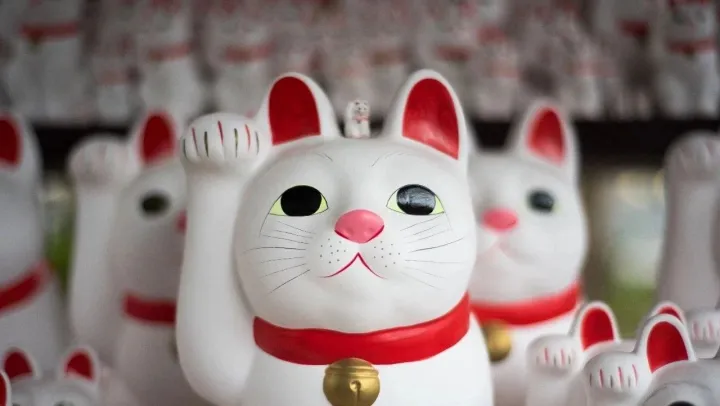 一级市场钱荒，二级市场心慌，小米美团的IPO才不是什么高光时刻