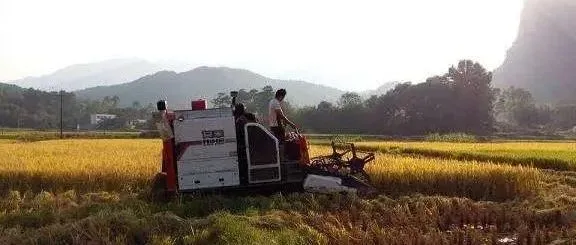 从快手“田野调查”说起：短视频中的中国真实社会切片