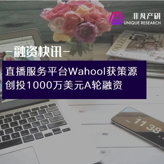 跨境红人直播分销平台Wahool获策源创投1000万美元A轮融资