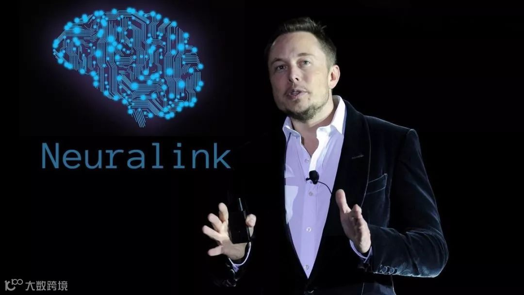 脑科学：开颅打洞接电线，你敢不敢？| 万字研究