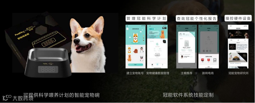 告别流量游戏,品牌何处寻增长?