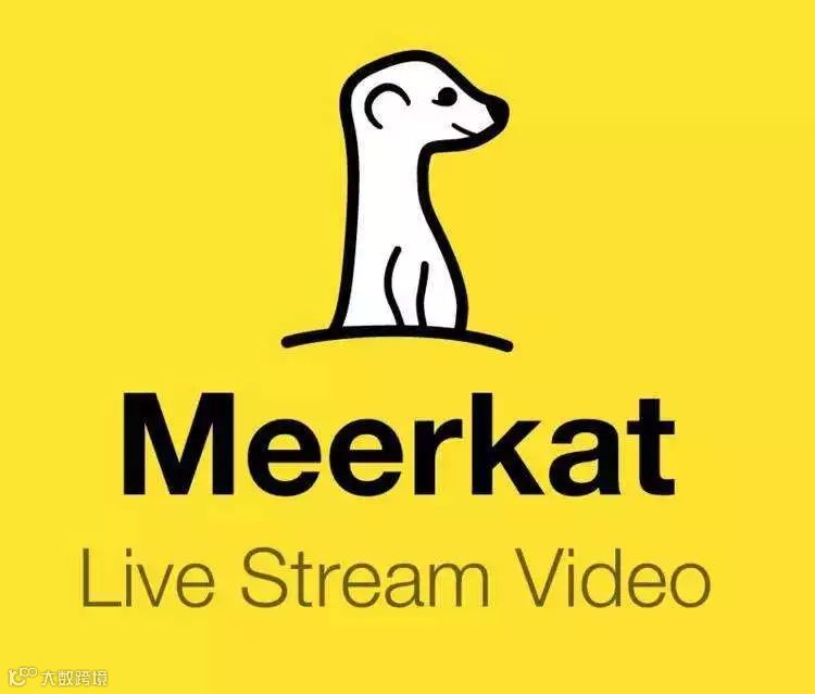 被抛弃的风口，直播行业向死而生