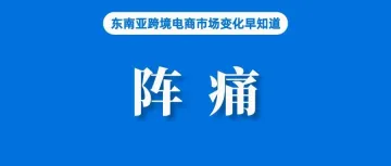 行业预期的新一轮“价格战”未到！Temu却在越南经历阵痛～