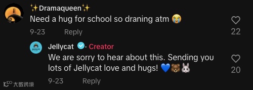 消费降级下，客单价600的JELLYCAT为什么还被成年人疯抢？