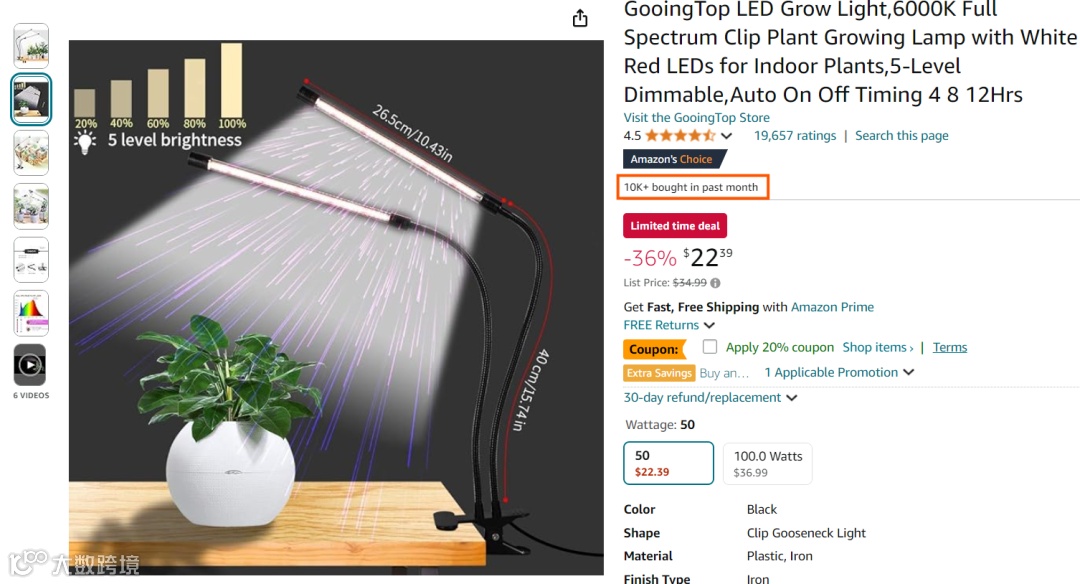 冷门国货，出海后身价翻倍！你不知的小商品正占领亚马逊