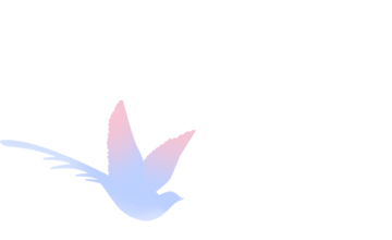 财务报表是企业的“仪表盘”!会计必知!老板角度如何看懂财务报表?老板最该关心哪几个指标?