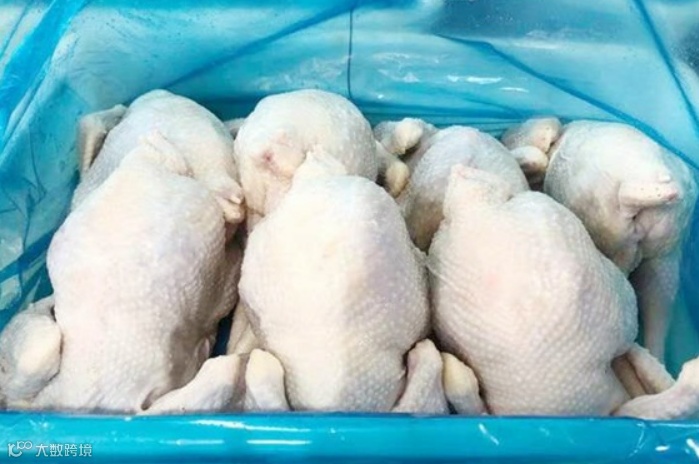 政策解读|出口肉类知多少?