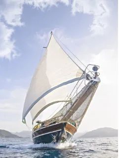 轻松上云端,零售新起航