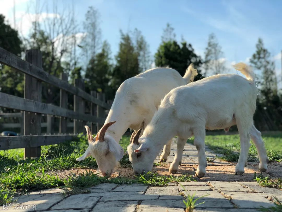 供应链管理是什么？能协助我们做什么？