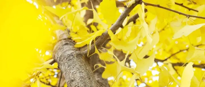 五一旅游市场有多旺？备货营销动起来！