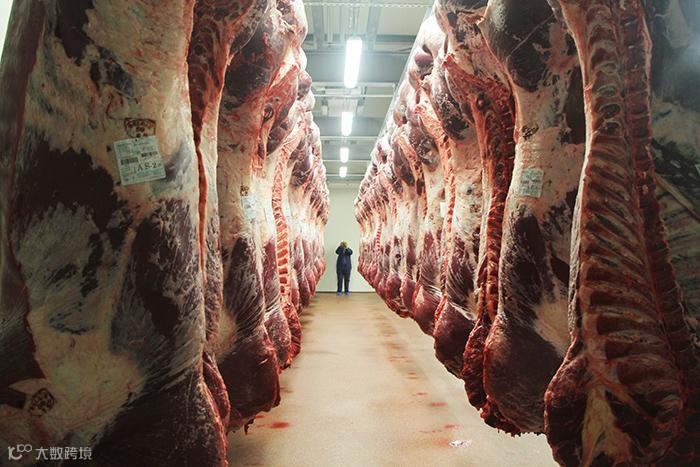 一文了解进口巴西牛肉