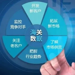 海关数据详细介绍，附带挖掘联系人方式