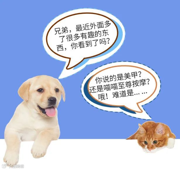 宠物行业市场规模及未来发展趋势如何？