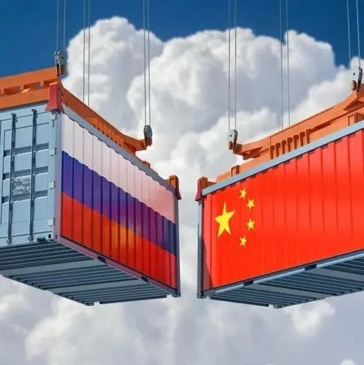 俄罗斯的进口需求有哪些？