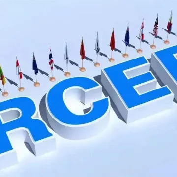 专家谈RCEP:还有哪些新的增长空间