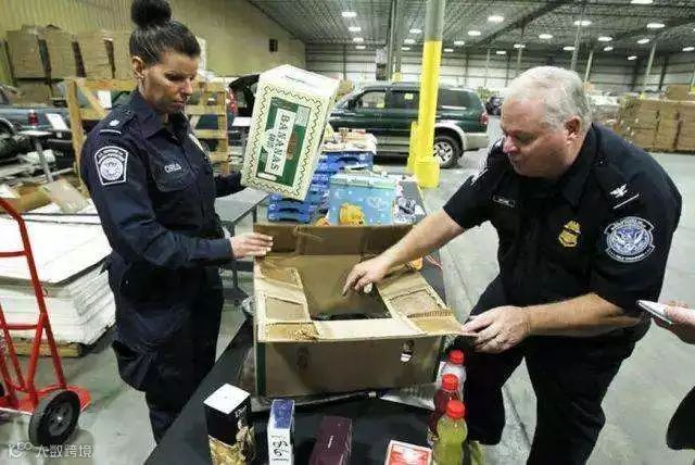 外贸知识篇 | 带你了解什么是“美国AMS”