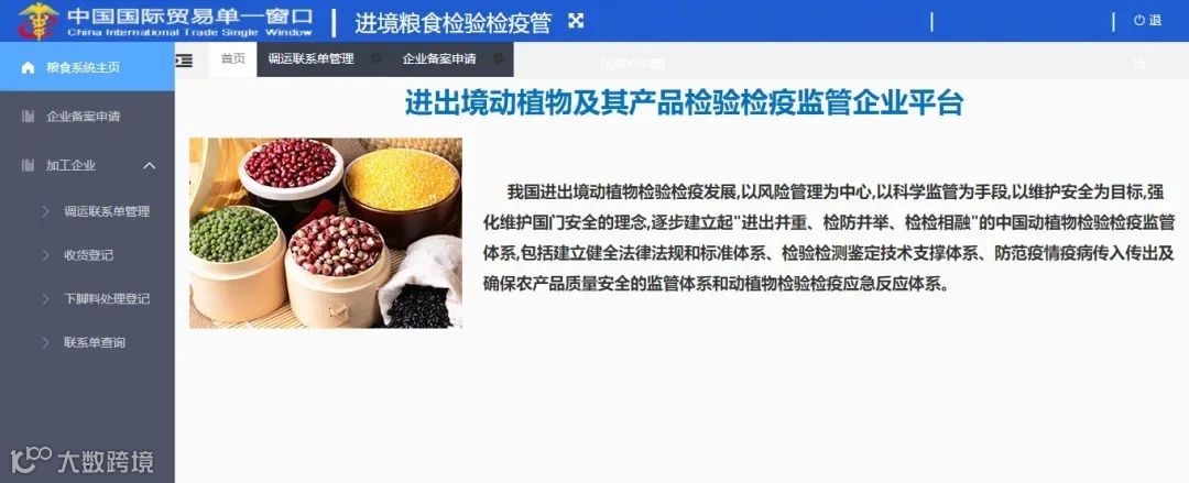 进口粮食监管知多少