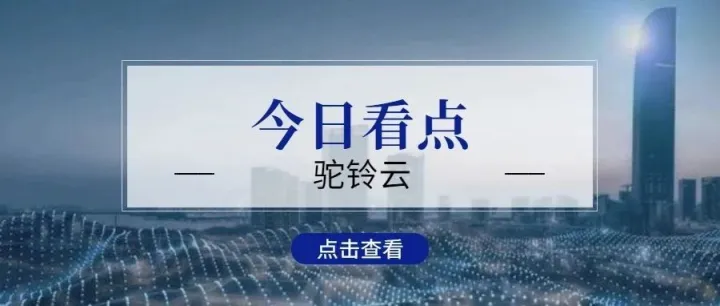 商务部对外贸易司副司长肖露：做好4个方面，走好3条路