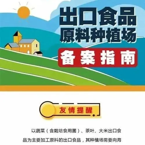 关于食品出口你应该知道的那些事