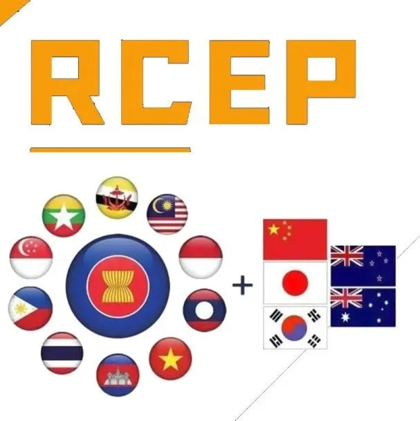 乘风RCEP 推进人民币国际化