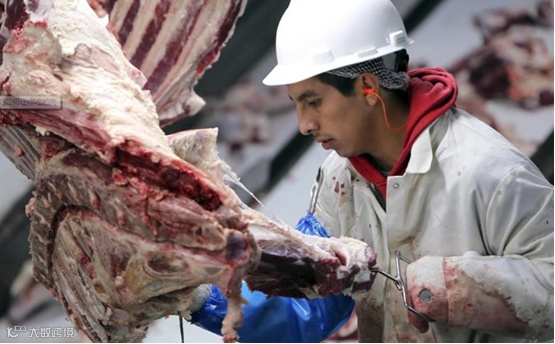 一文了解进口巴西牛肉