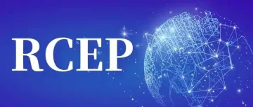 谋篇RCEP,多地“落子”进行时