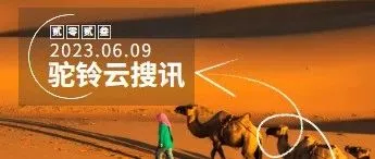 2026年中国数字化转型支出规模预计超过6000亿美元 |首届中国国际供应链促进博览会将于11月28日-12月2日举行