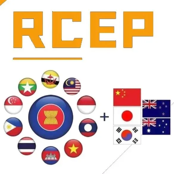 多国拟通过RCEP 深化经贸合作