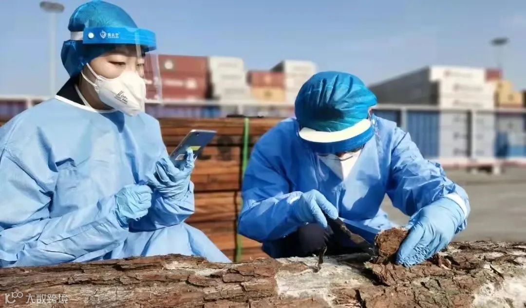 【动植物检疫】顺利进口木材,应该分几步?