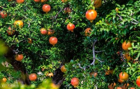 山东省16个城市有什么产业带？山东有哪些港口?盘点山东10大港口