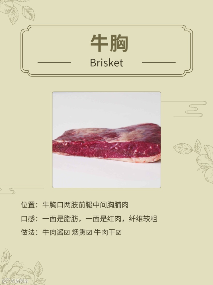 一文了解进口巴西牛肉