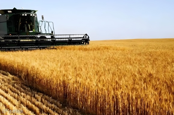 俄罗斯是一个怎样的国家呢?我们该怎么从中寻找商机呢?出口产品到俄罗斯的优势在哪呢?俄罗斯有什么产品可以进口到中国呢?