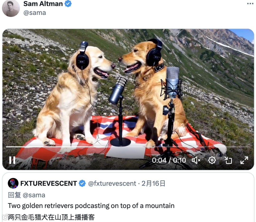 文本到视频生成模型Sora 如何运行