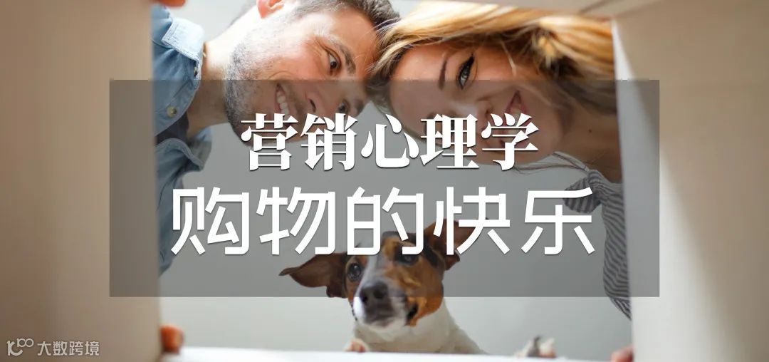 双十一数据：这个双十一，我们不买！口嫌体正直