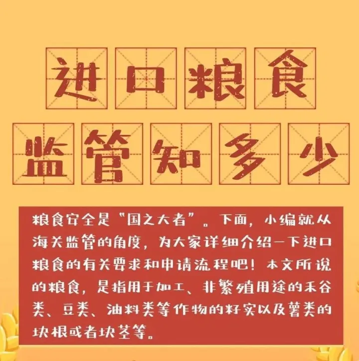 进口粮食监管知多少