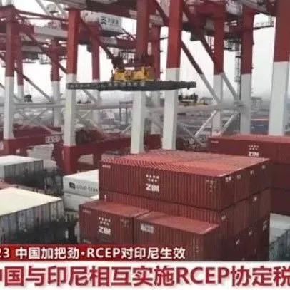 700多个税号产品零关税！