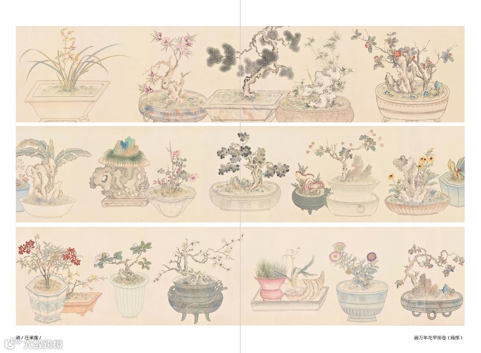 有趣的灵魂，火爆海内外