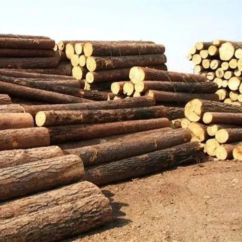 木材进口报关流程以及木材进口清关注意事项