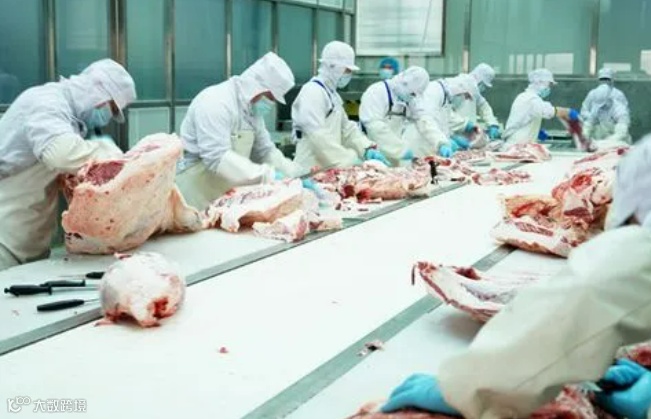 政策解读|出口肉类知多少?