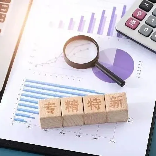 专精特新TOP30榜单发布