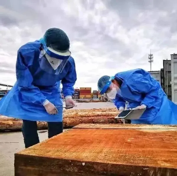 【动植物检疫】顺利进口木材，应该分几步？