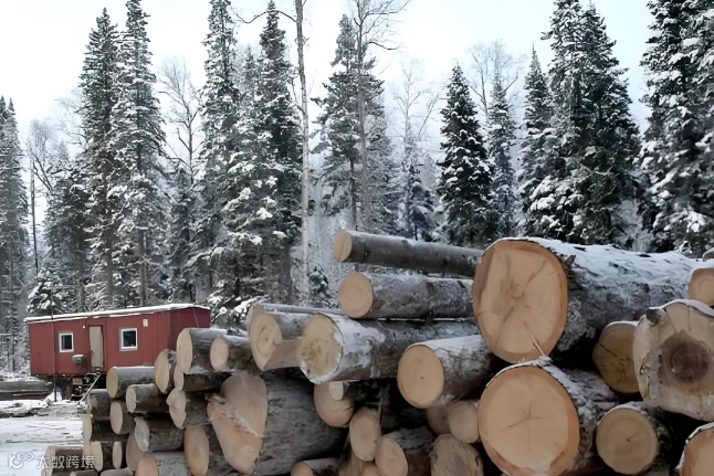 俄罗斯是一个怎样的国家呢?我们该怎么从中寻找商机呢?出口产品到俄罗斯的优势在哪呢?俄罗斯有什么产品可以进口到中国呢?