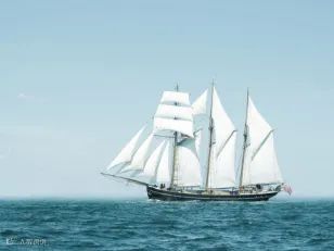 轻松上云端,零售新起航