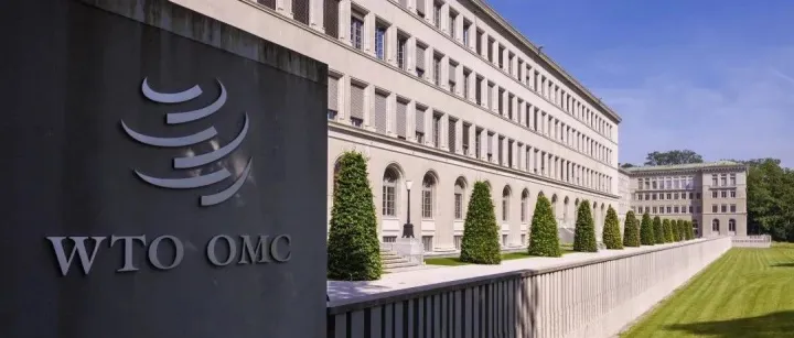WTO：二季度全球货物贸易有望好转