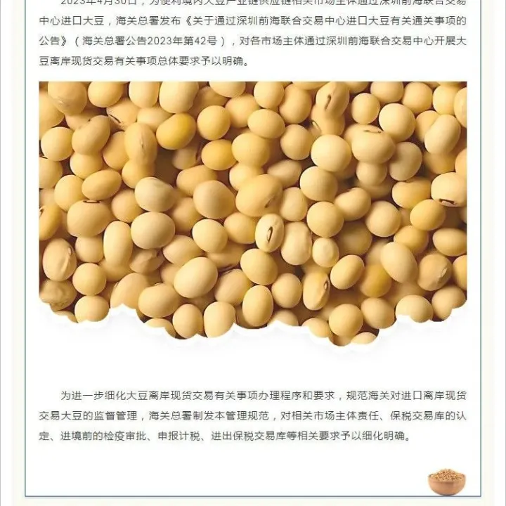 进口离岸现货交易大豆监督管理规范（试行）